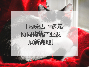 内蒙古：多元协同构筑产业发展新高地