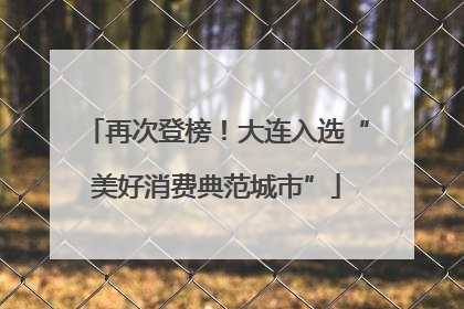 再次登榜！大连入选“美好消费典范城市”
