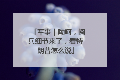 军事｜呦呵，阅兵细节来了，看特朗普怎么说