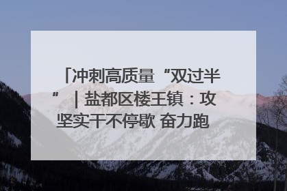 冲刺高质量“双过半”｜盐都区楼王镇：攻坚实干不停歇 奋力跑赢“上半场”