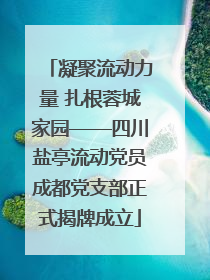 凝聚流动力量 扎根蓉城家园——四川盐亭流动党员成都党支部正式揭牌成立