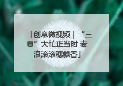 创意微视频｜“三夏”大忙正当时 麦浪滚滚穗飘香