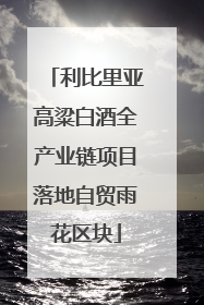 利比里亚高粱白酒全产业链项目落地自贸雨花区块