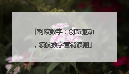 利欧数字：创新驱动，领航数字营销浪潮