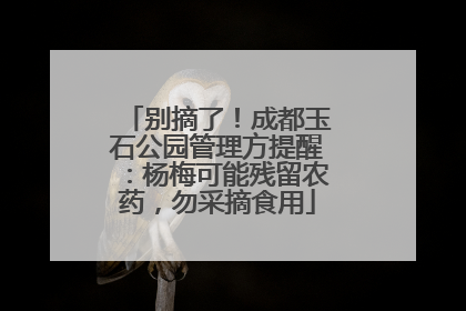 别摘了！成都玉石公园管理方提醒：杨梅可能残留农药，勿采摘食用