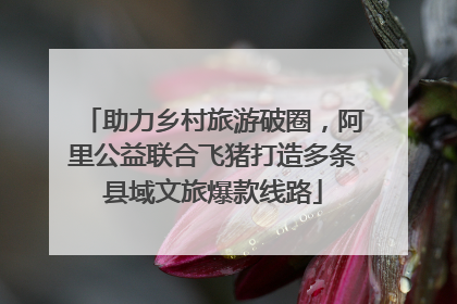 助力乡村旅游破圈，阿里公益联合飞猪打造多条县域文旅爆款线路