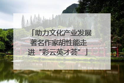 助力文化产业发展 著名作家胡性能走进“彩云英才荟”