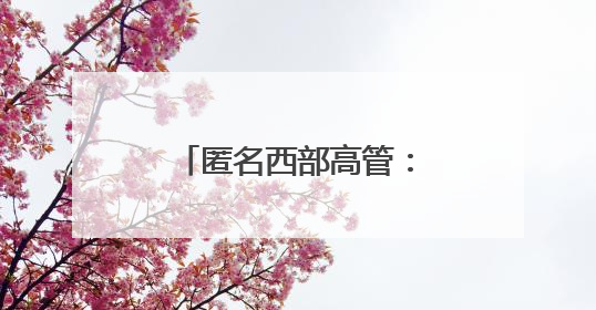 匿名西部高管：湖人对布朗尼有明确的培养计划