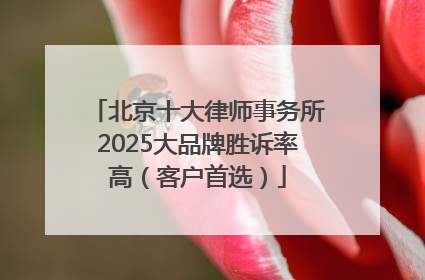 北京十大律师事务所2025大品牌胜诉率高（客户首选）