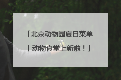 北京动物园夏日菜单丨动物食堂上新啦！