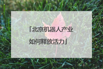北京机器人产业如何释放活力