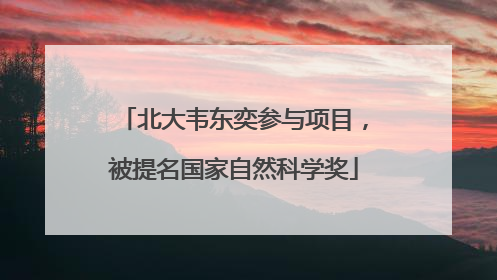 北大韦东奕参与项目，被提名国家自然科学奖