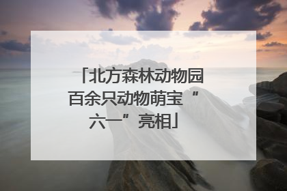 北方森林动物园百余只动物萌宝“六一”亮相