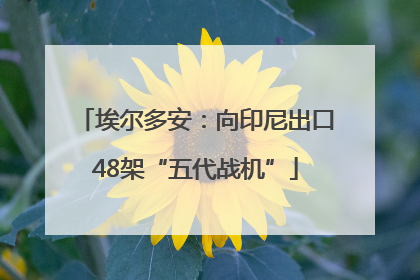 埃尔多安：向印尼出口48架“五代战机”