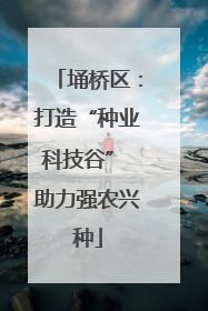 埇桥区：打造“种业科技谷” 助力强农兴种