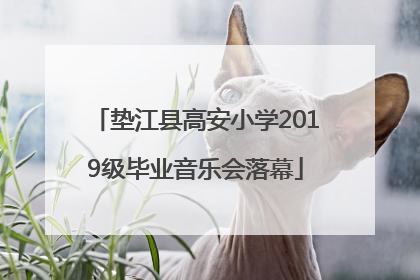 垫江县高安小学2019级毕业音乐会落幕