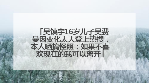 吴镇宇16岁儿子吴费曼因变化太大登上热搜，本人晒搞怪照：如果不喜欢现在的我可以离开