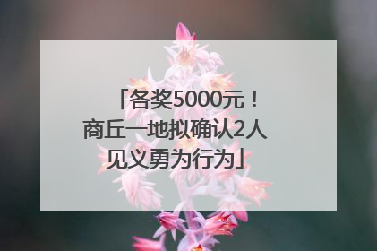 各奖5000元！商丘一地拟确认2人见义勇为行为