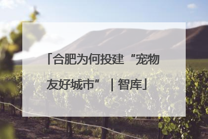 合肥为何投建“宠物友好城市”｜智库