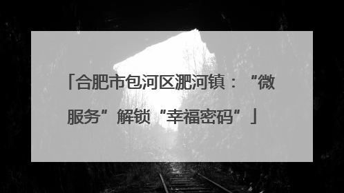 合肥市包河区淝河镇：“微服务”解锁“幸福密码”