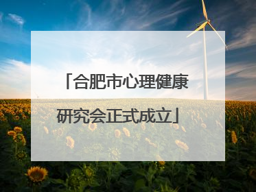 合肥市心理健康研究会正式成立