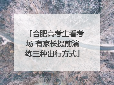 合肥高考生看考场 有家长提前演练三种出行方式