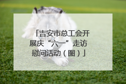 吉安市总工会开展庆“六一”走访慰问活动（图）