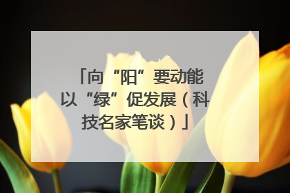 向“阳”要动能 以“绿”促发展（科技名家笔谈）