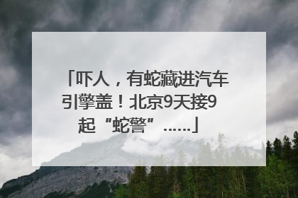 吓人，有蛇藏进汽车引擎盖！北京9天接9起“蛇警”……