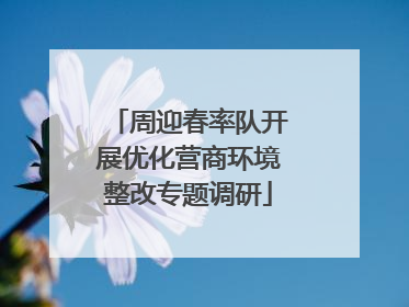 周迎春率队开展优化营商环境整改专题调研