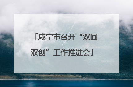 咸宁市召开“双回双创”工作推进会