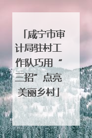 咸宁市审计局驻村工作队巧用“三招”点亮美丽乡村