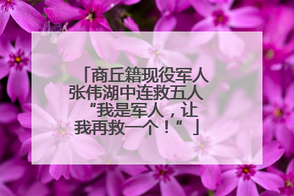 商丘籍现役军人张伟湖中连救五人 “我是军人，让我再救一个！”