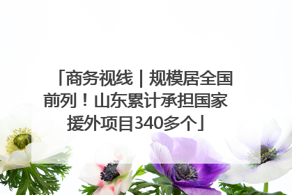 商务视线｜规模居全国前列！山东累计承担国家援外项目340多个