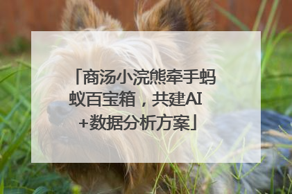 商汤小浣熊牵手蚂蚁百宝箱，共建AI+数据分析方案