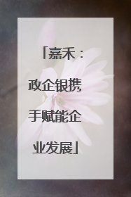 嘉禾：政企银携手赋能企业发展