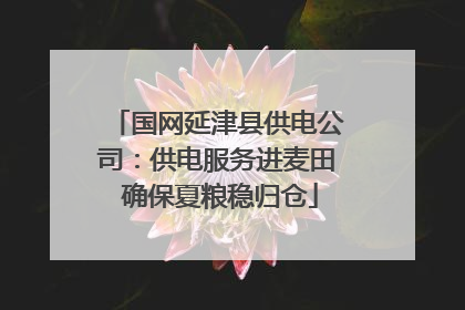 国网延津县供电公司：供电服务进麦田 确保夏粮稳归仓
