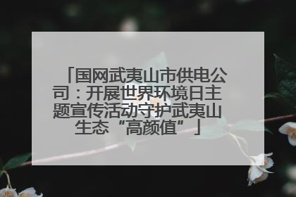 国网武夷山市供电公司：开展世界环境日主题宣传活动守护武夷山生态“高颜值”