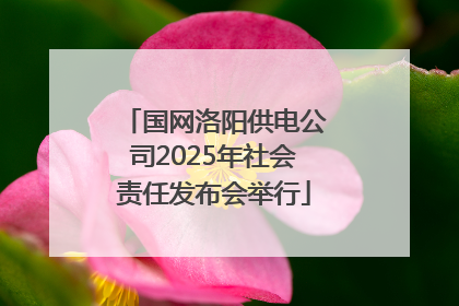 国网洛阳供电公司2025年社会责任发布会举行