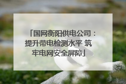 国网衡阳供电公司：提升带电检测水平 筑牢电网安全屏障