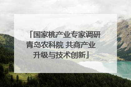 国家桃产业专家调研青岛农科院 共商产业升级与技术创新