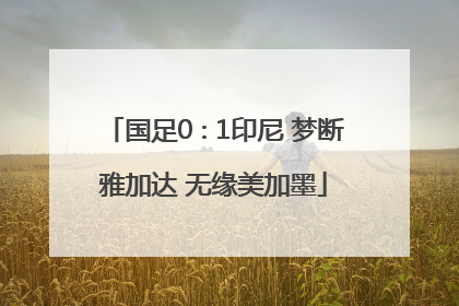 国足0∶1印尼 梦断雅加达 无缘美加墨