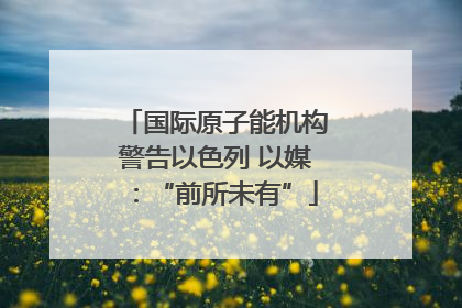 国际原子能机构警告以色列 以媒：“前所未有”