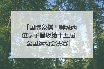 国际象棋！聊城两位学子晋级第十五届全国运动会决赛