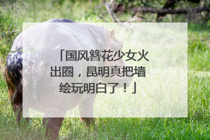 国风簪花少女火出圈，昆明真把墙绘玩明白了！