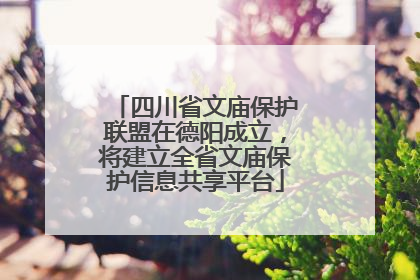 四川省文庙保护联盟在德阳成立，将建立全省文庙保护信息共享平台
