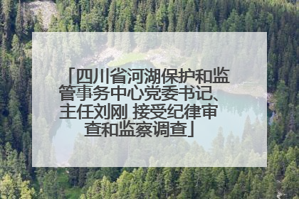 四川省河湖保护和监管事务中心党委书记、主任刘刚 接受纪律审查和监察调查