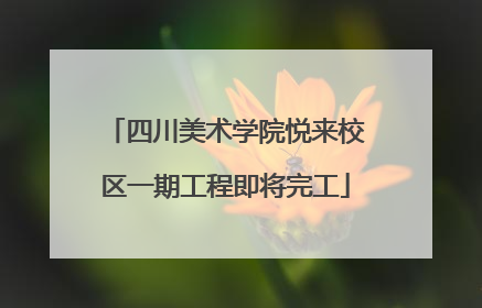 四川美术学院悦来校区一期工程即将完工