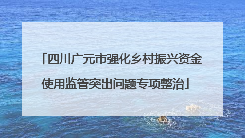 四川广元市强化乡村振兴资金使用监管突出问题专项整治