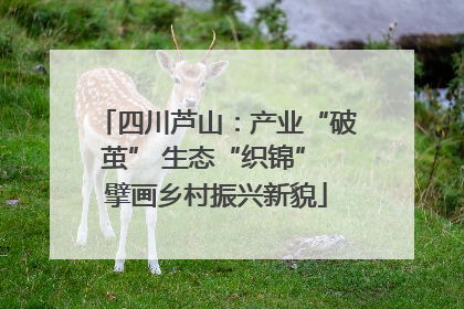 四川芦山：产业“破茧” 生态“织锦” 擘画乡村振兴新貌
